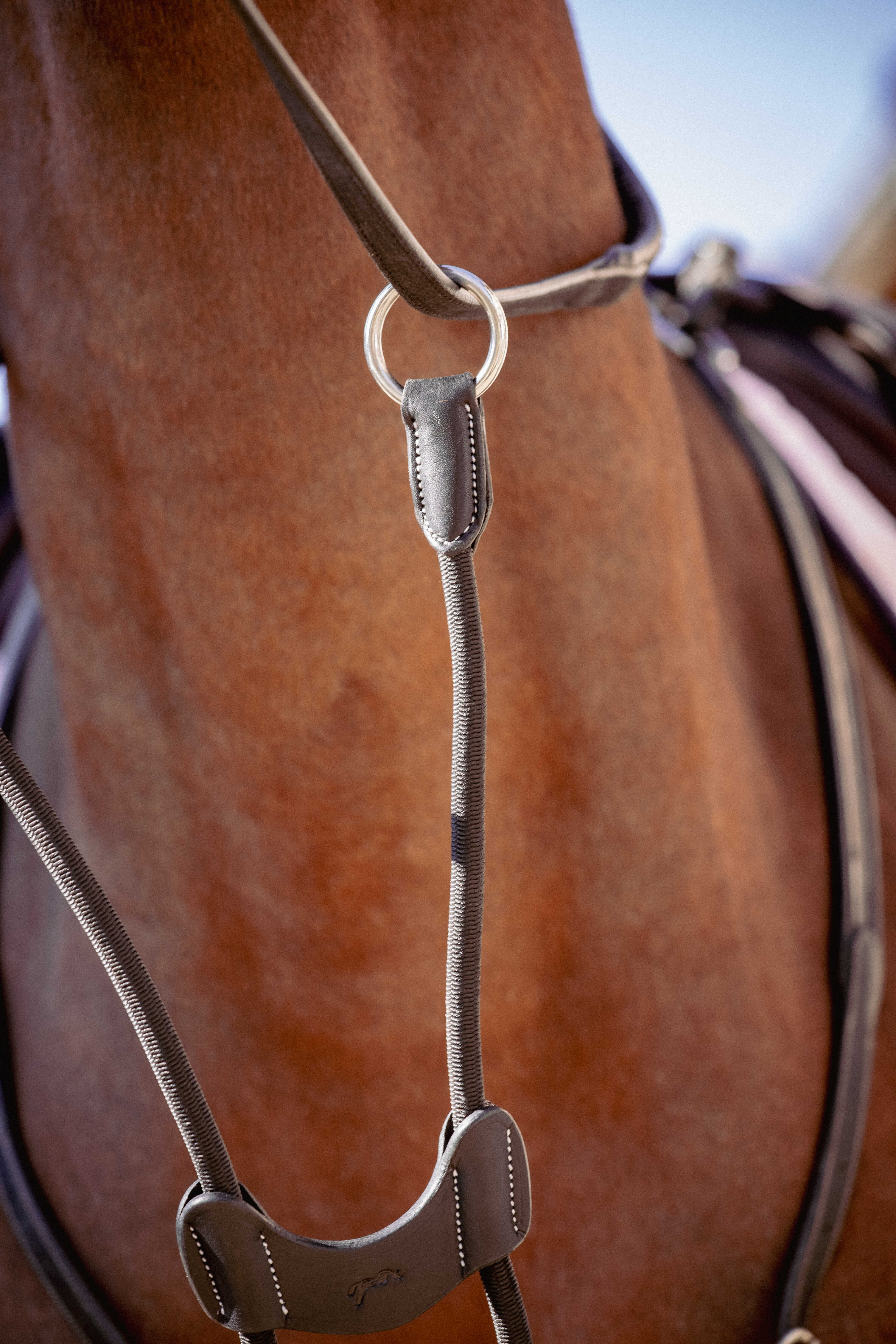 Pénélope Elastic Bip Light US Martingale Fork Black - 3