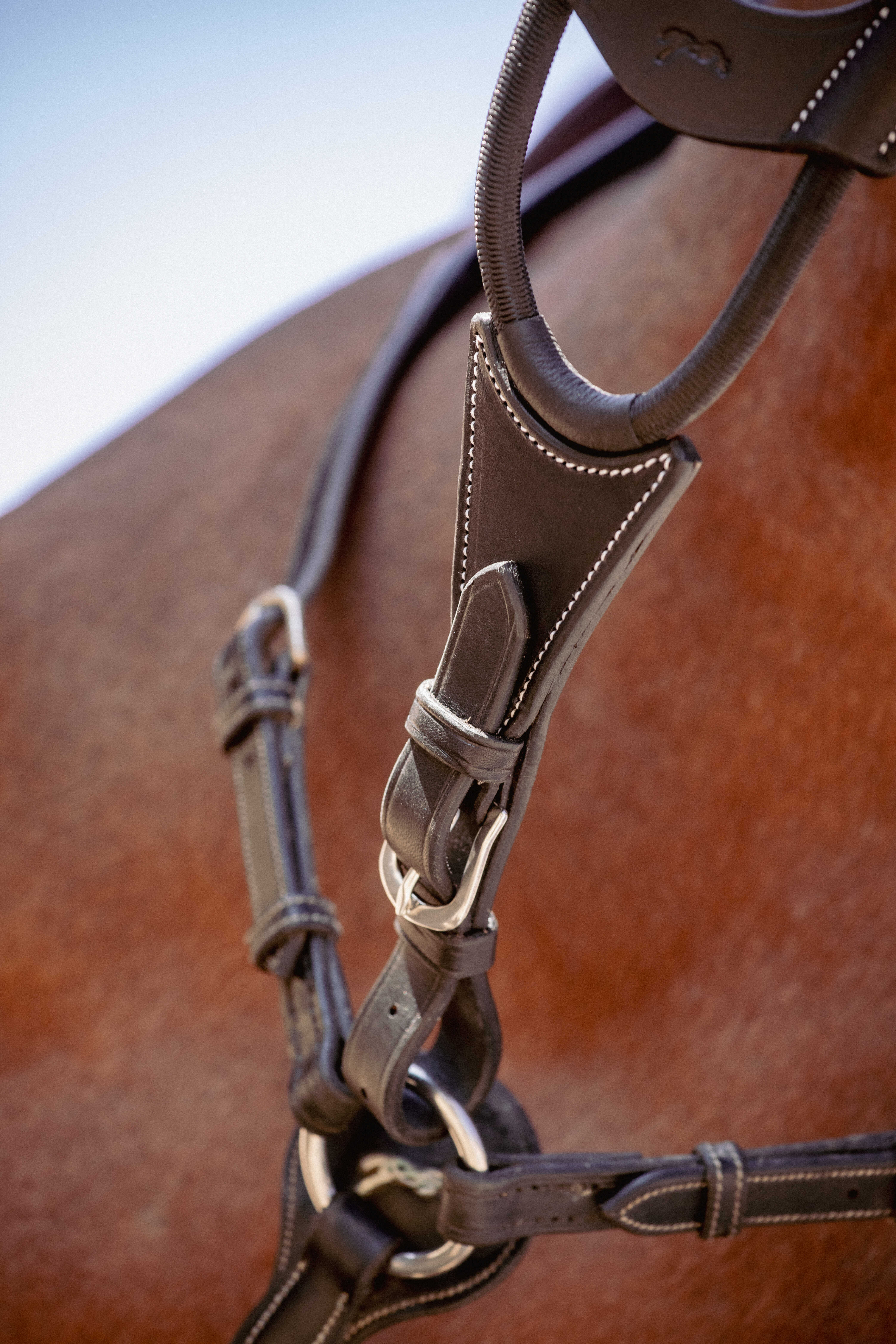 Pénélope Elastic Bip Light US Martingale Fork Black - 4