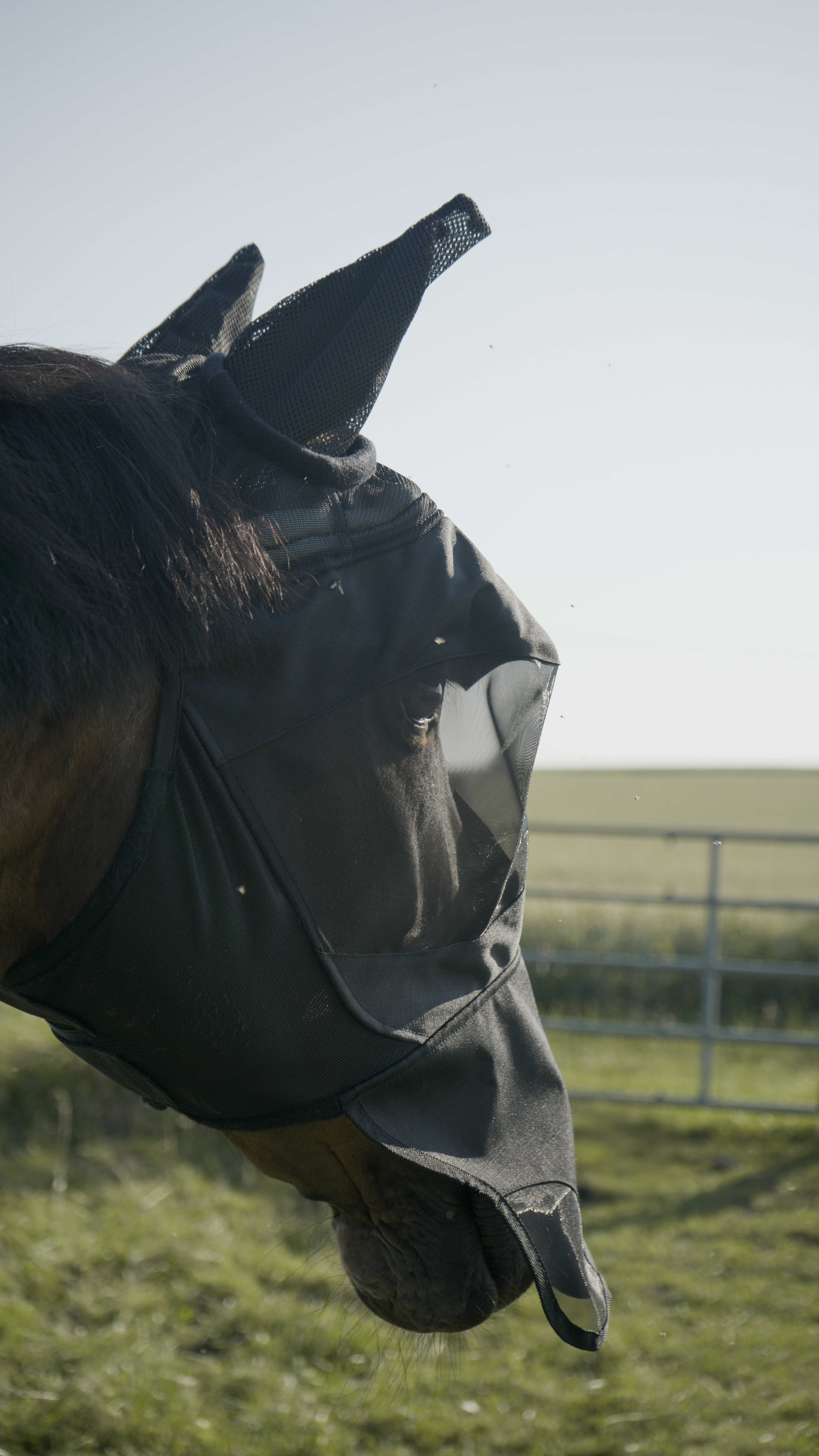 Pro Series Visor UV Fly Mask Black - 3