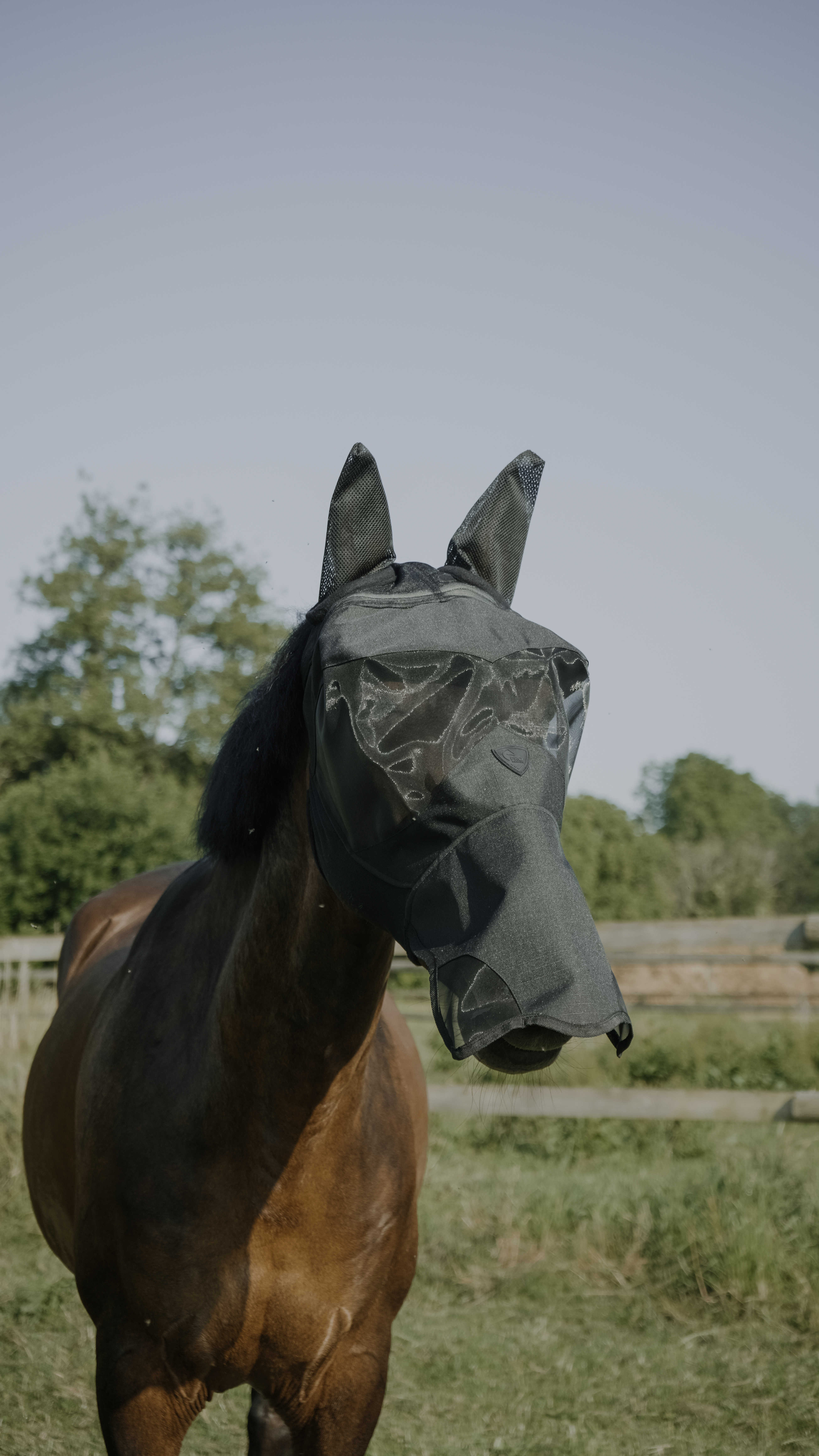 Pro Series Visor UV Fly Mask Black - 2