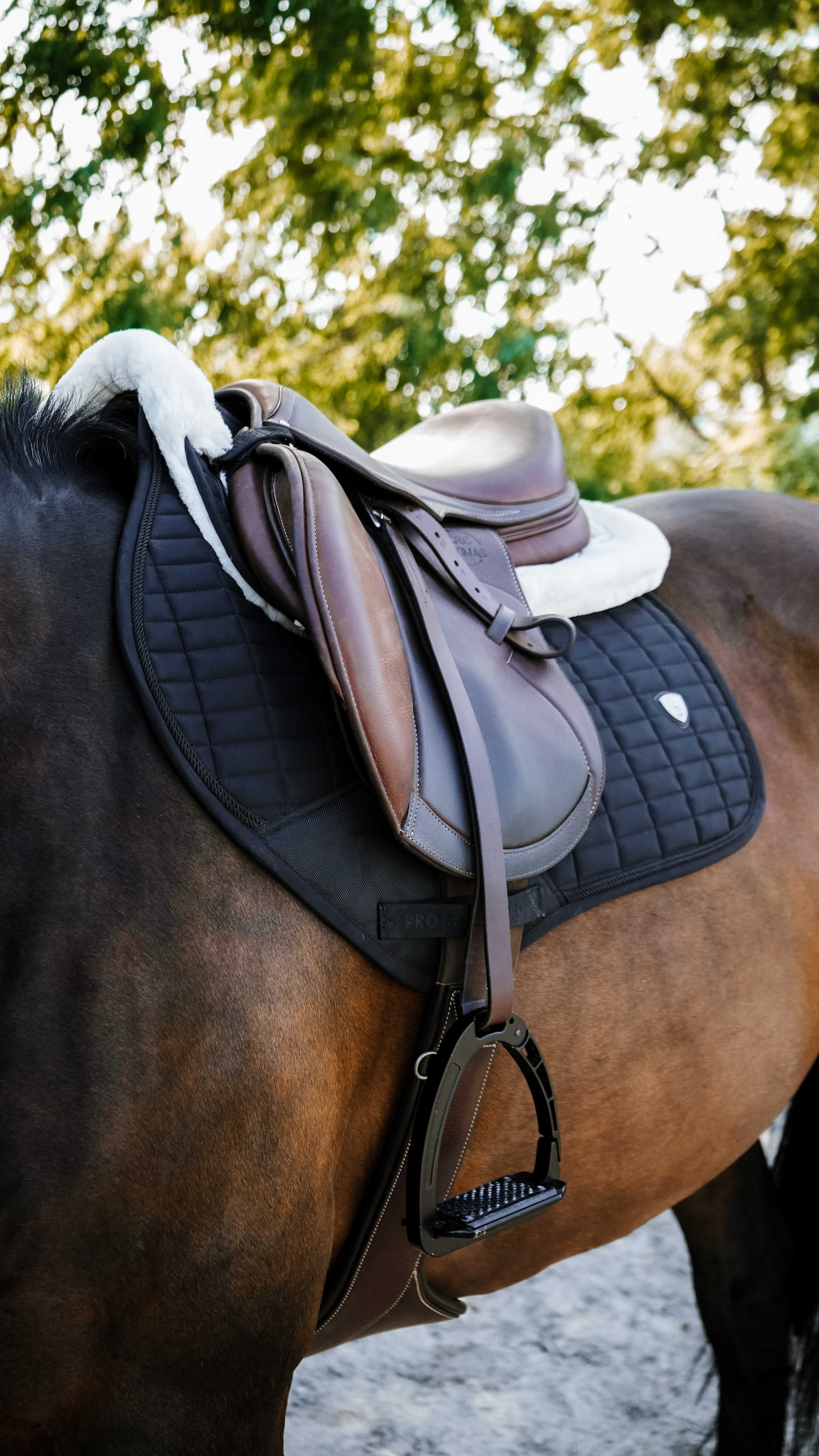 Pro Series Combo Master Allroundschabrak Svart - 2