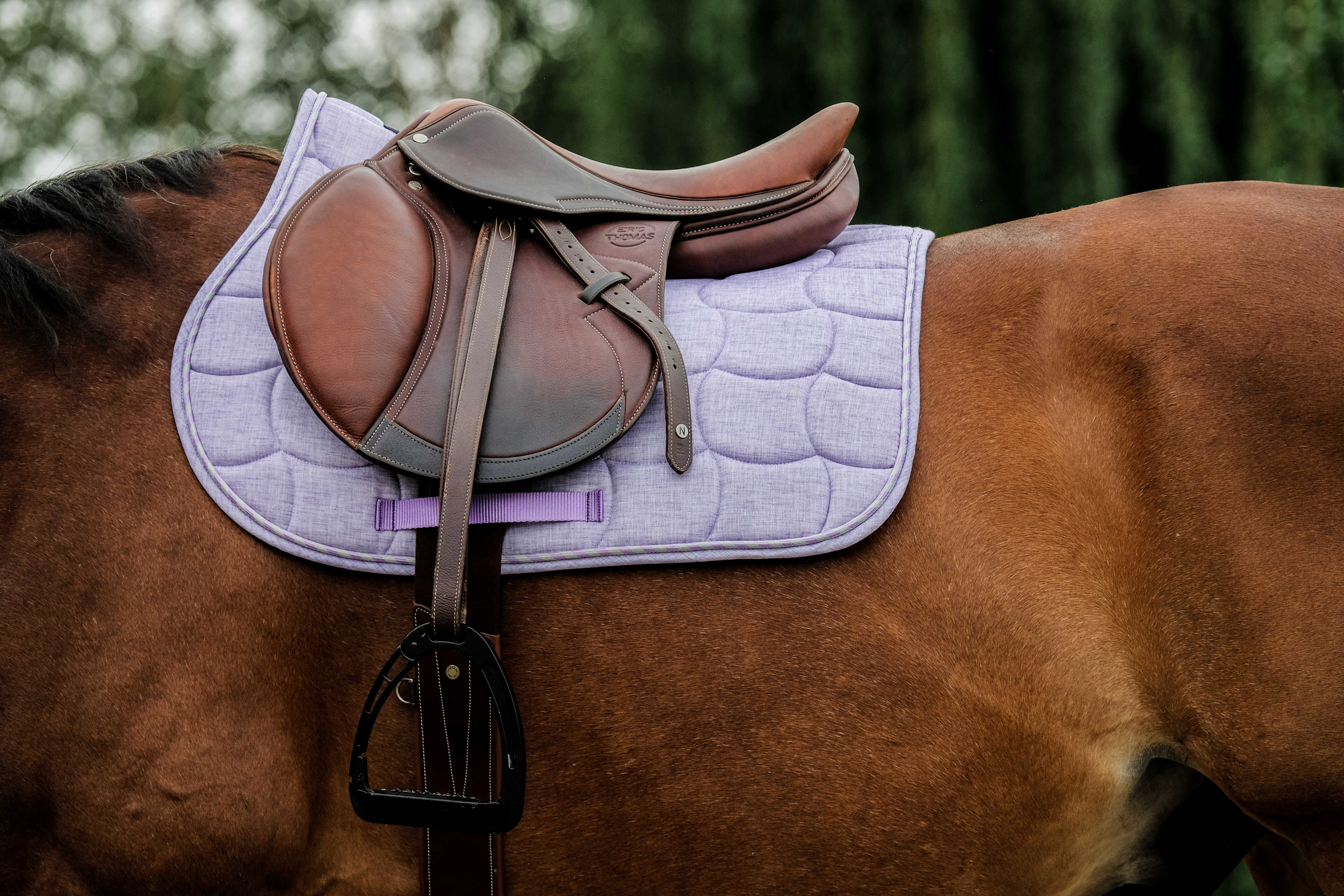 Riding World Sunshine Saddle Pad Lavander - 2