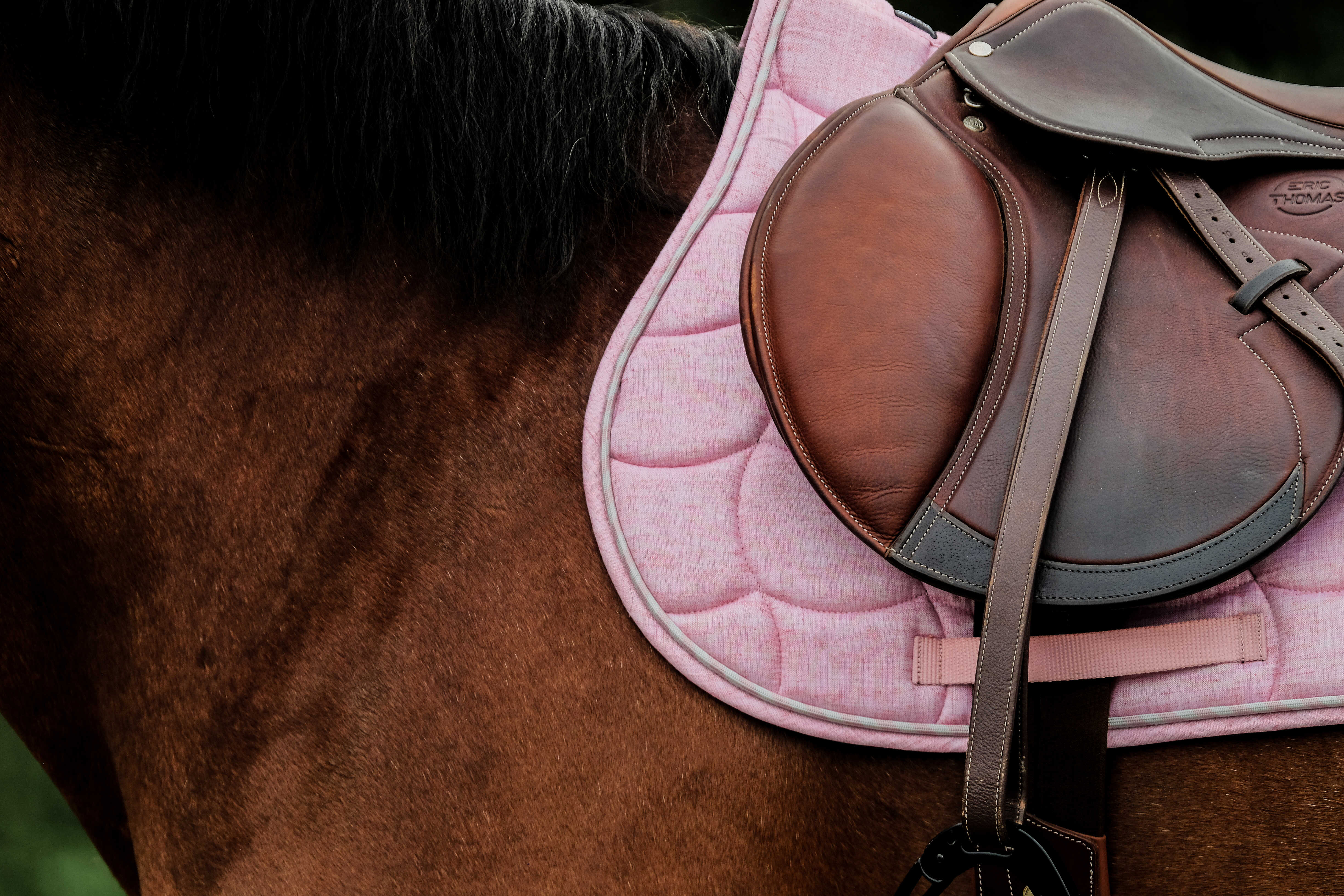 Riding World Sunshine Schabrak Rosa - 3
