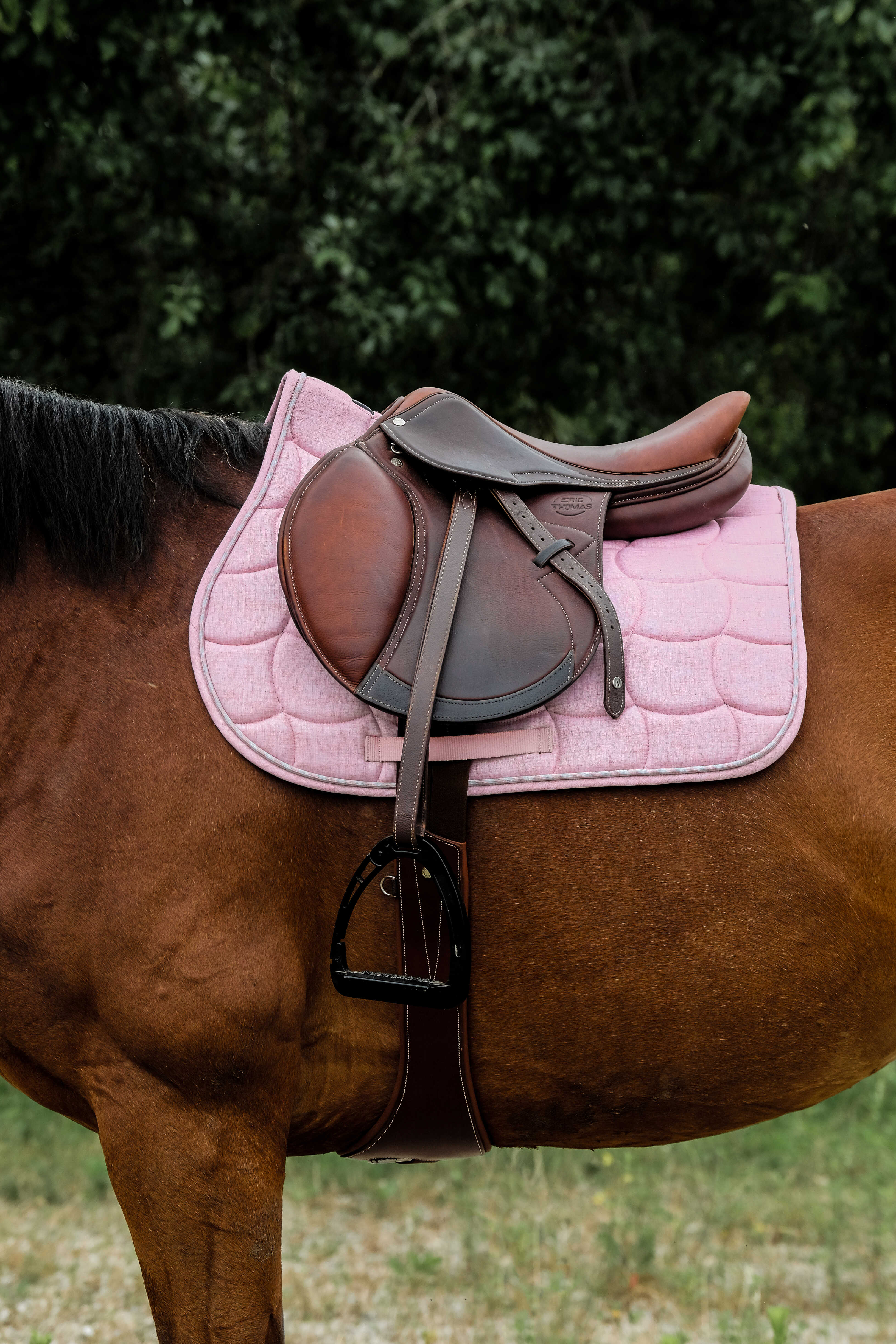 Riding World Sunshine Schabrak Rosa - 2