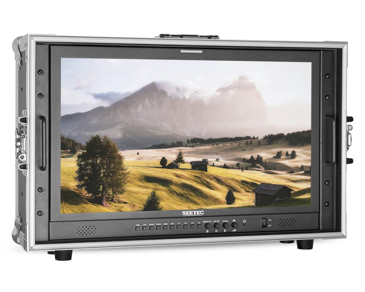 SEETEC Monitor P238-9HSD-CO Carry on