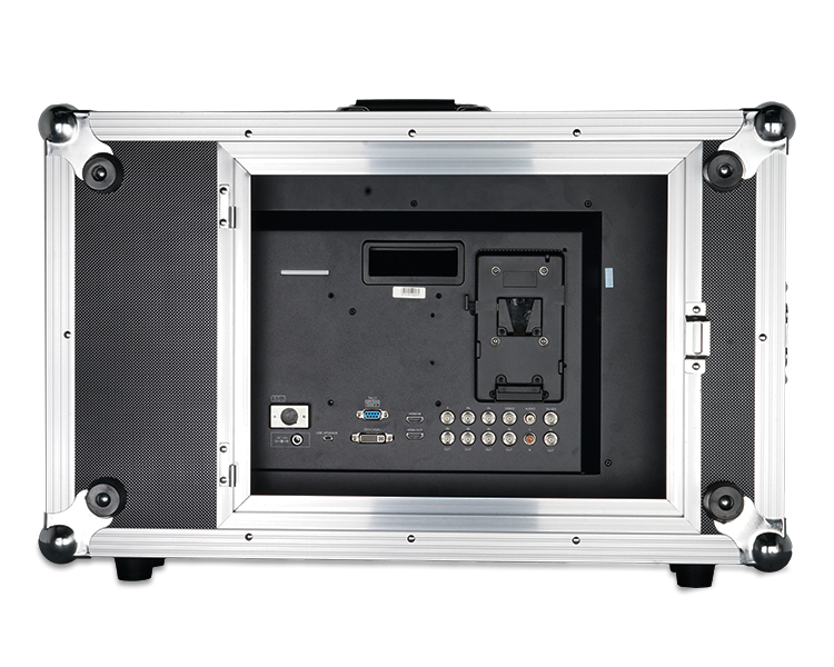 SEETEC Monitor P238-9HSD-CO Carry on - 3