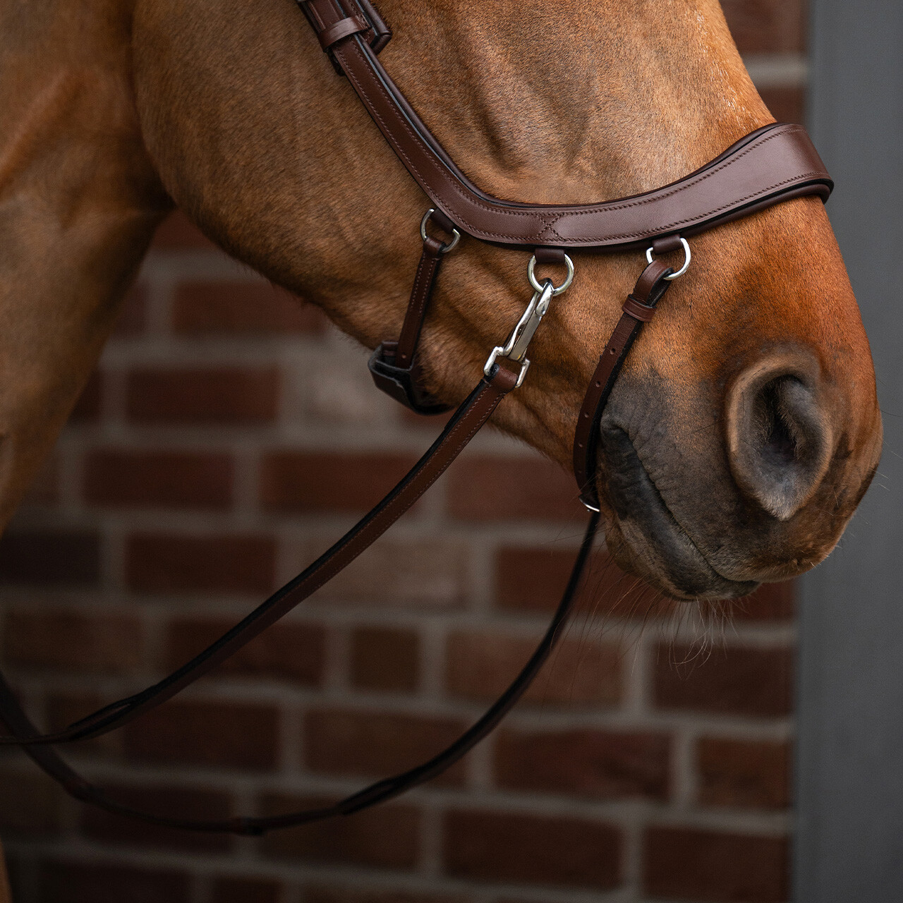 Bitless Bridle / Sidepull PresTEQ Faysport Anatomical, brun - 24