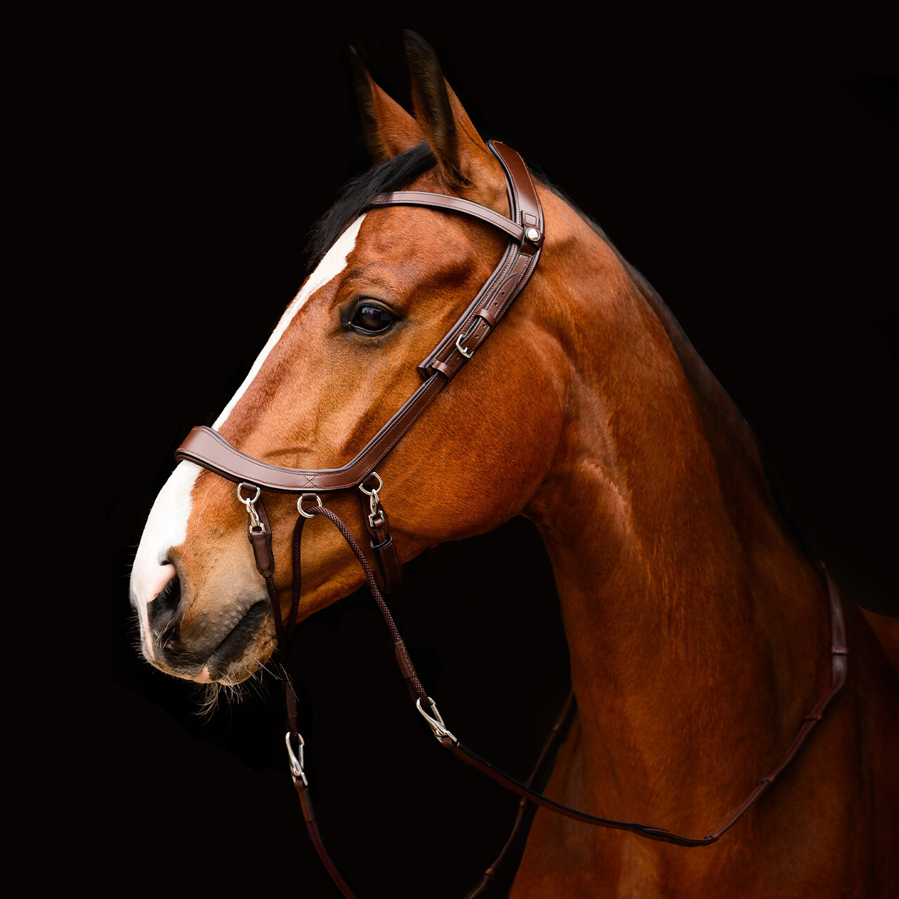 Bitless Bridle / Sidepull PresTEQ Faysport Anatomical, brun - 20