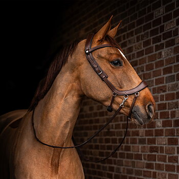Bitless Bridle / Sidepull PresTEQ Faysport Anatomical, brun