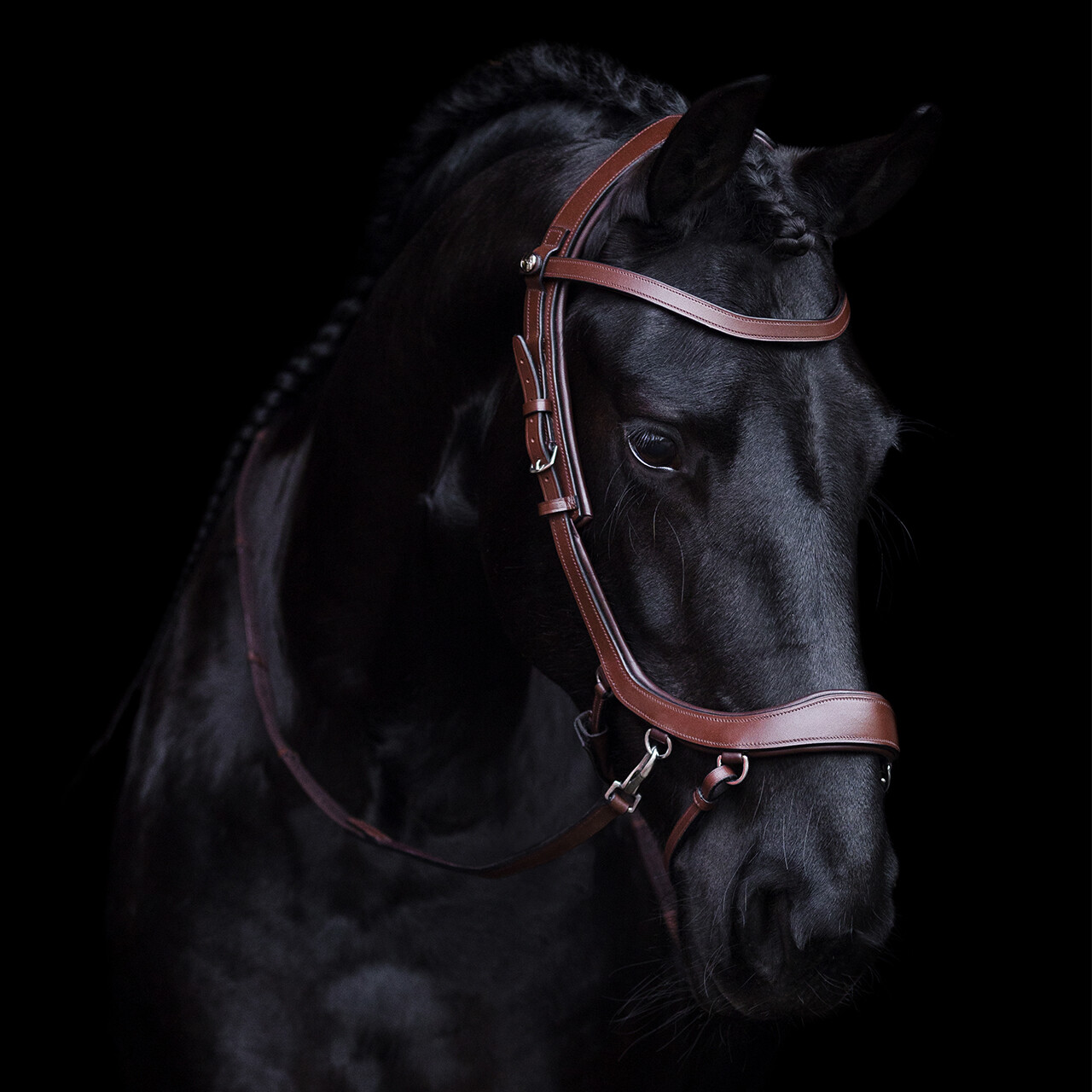 Bitless Bridle / Sidepull PresTEQ Faysport Anatomical, brun - 22
