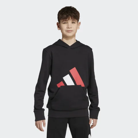Adidas Essentials Hoodie Huvtröja