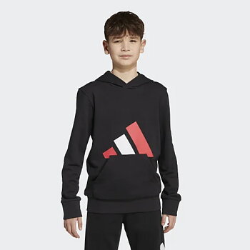 Adidas Essentials Hoodie Huvtröja