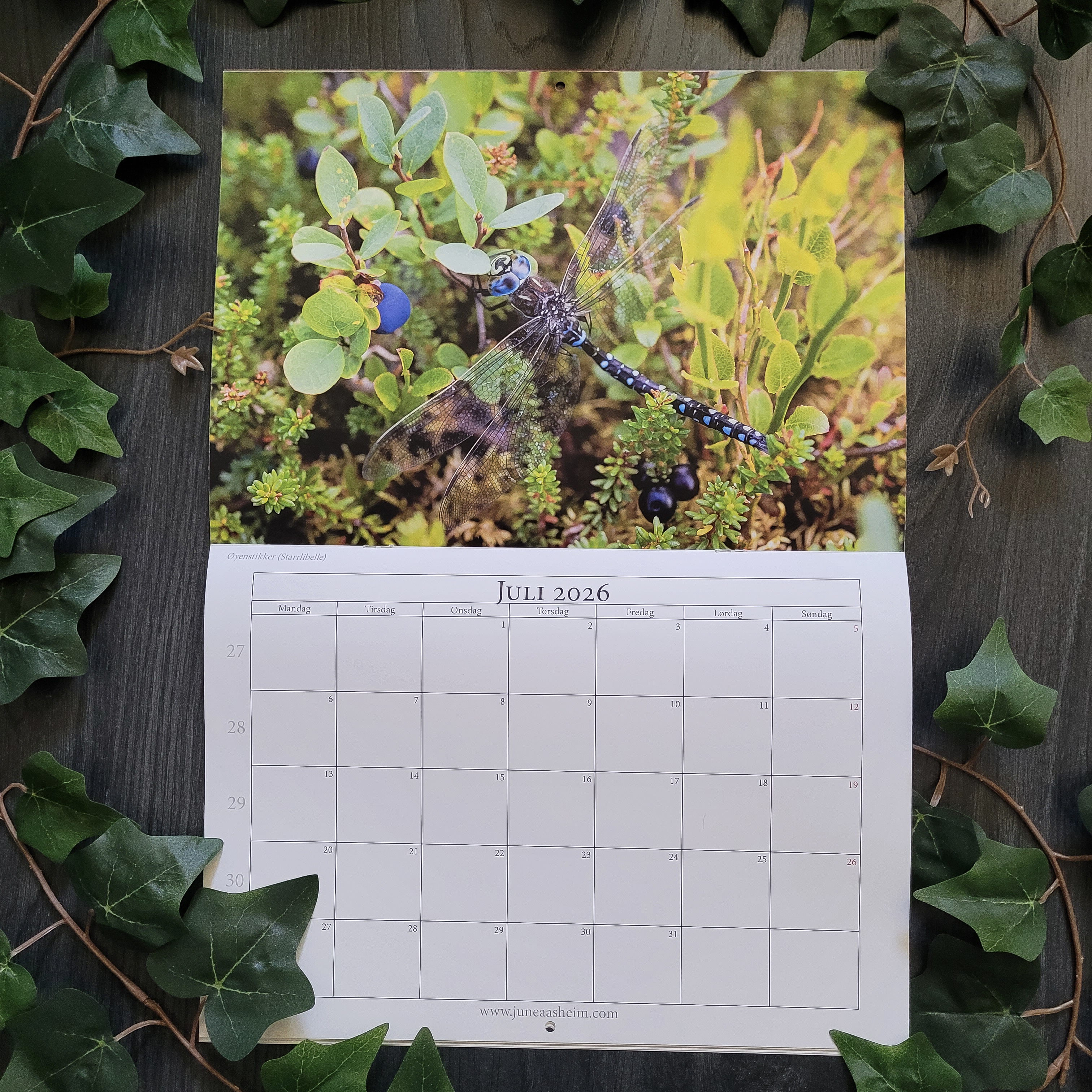 Kalender 2026 - 4