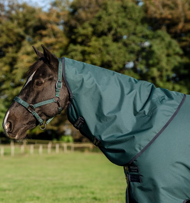 Horseware Amigo Ripstop 900D Turnout Hood 150g Dynasty Green/Navy & Silver