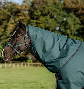 Horseware Amigo Ripstop 900D Turnout Hood 150g Dynasty Green/Navy & Silver