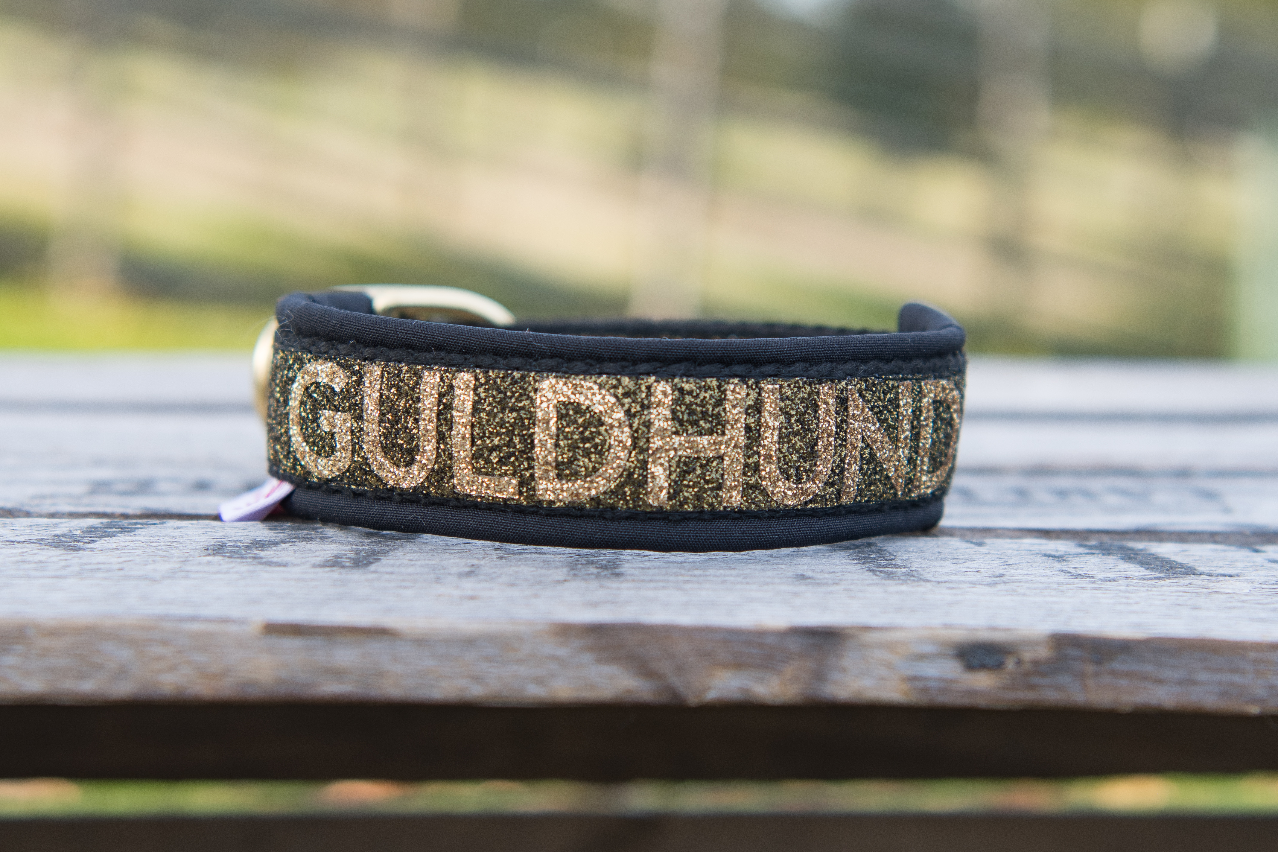 Helglittrigt agilityhalsband 2.5 cm  - 2