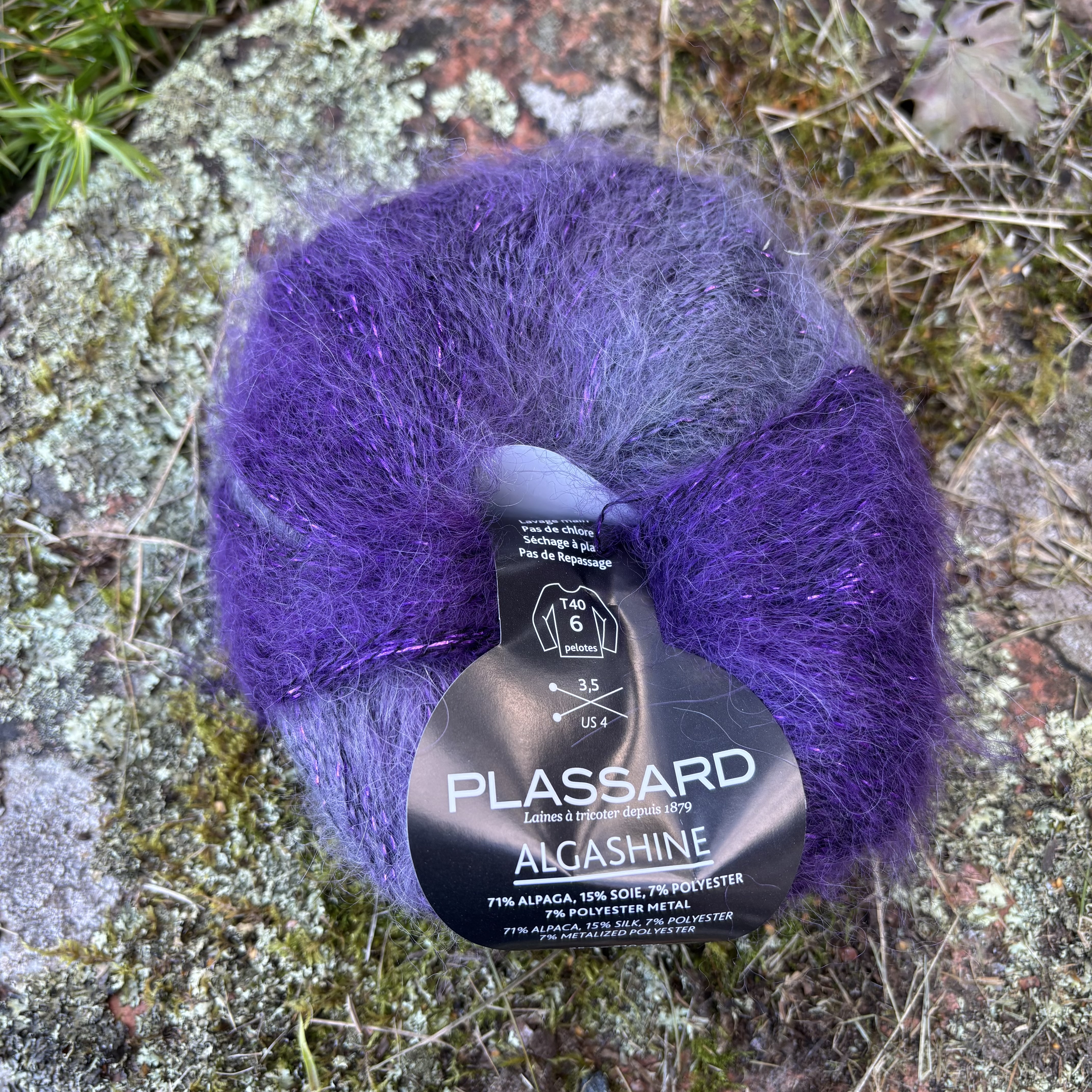 Plassard Algashine - 2