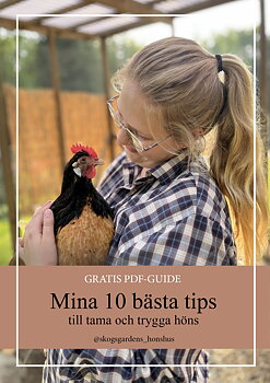 Freebie "Mina 10 bästa tips till tama och trygga höns" (digital produkt)