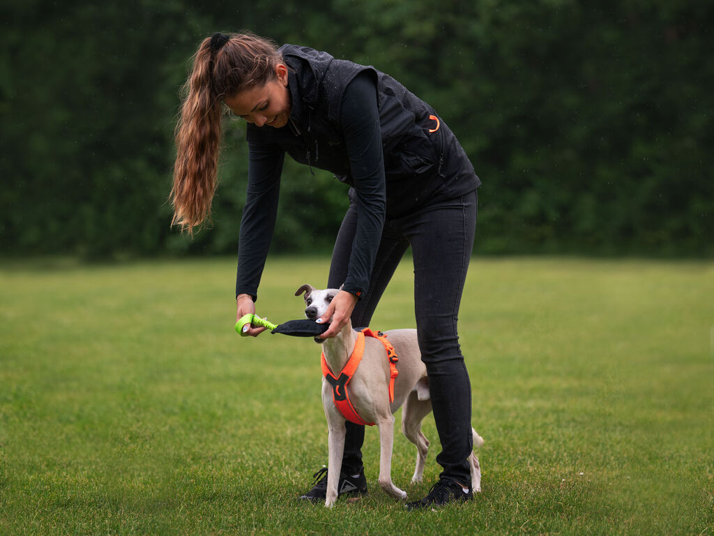 Non-Stop Dogwear Obedience Vest Women - Black