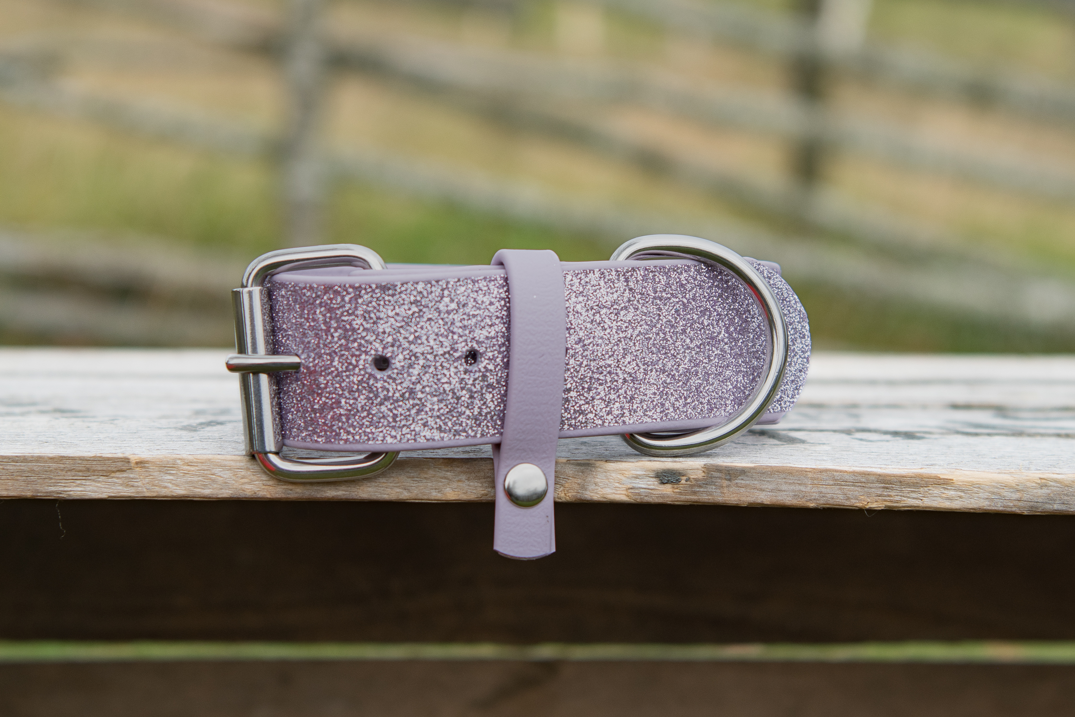 Helglittrigt halsband i BioThane Beta® - 4