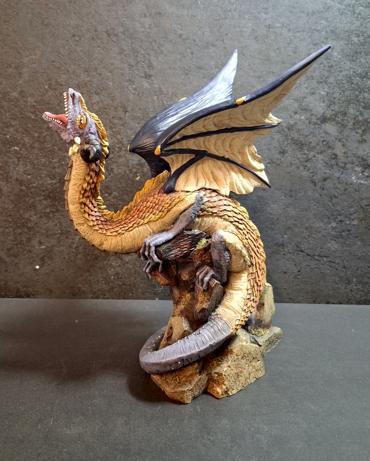 Midi Mountain Dragon - 2