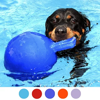 Jolly pets tug-n-toss water toy for dog