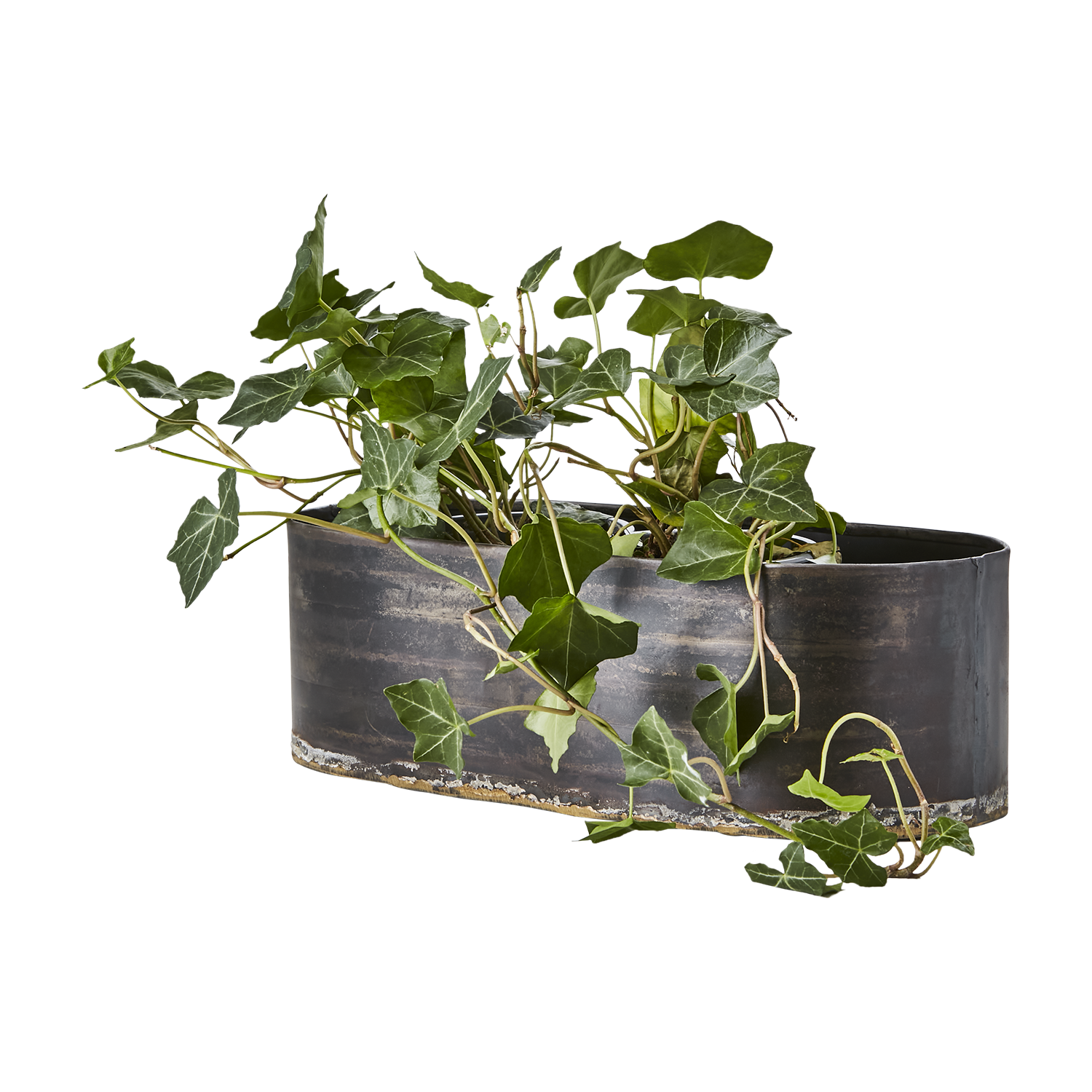 Robust, blomlåda i järn från Affari of Sweden