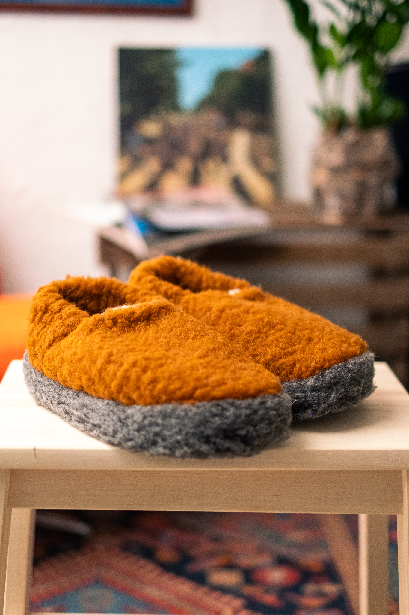 Coldbreakers - Siberian Wool Slippers Carmel