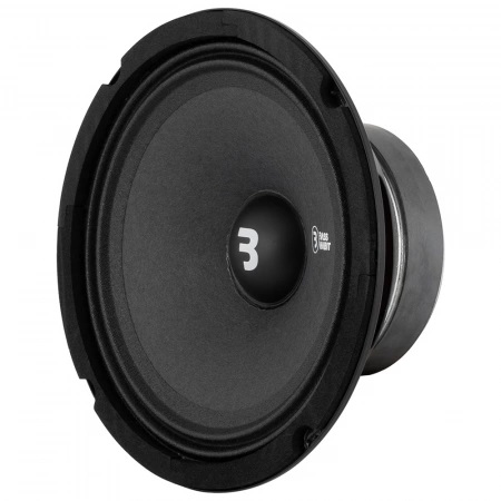 Bass Habit PL212 & SPL165M SPL PAKET - 4