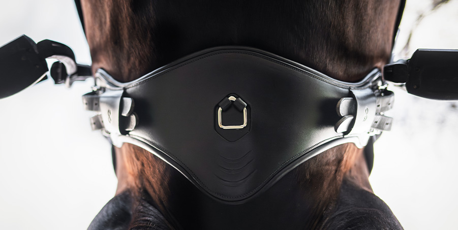 PresTEQ Girth PerformFree dressage - 2