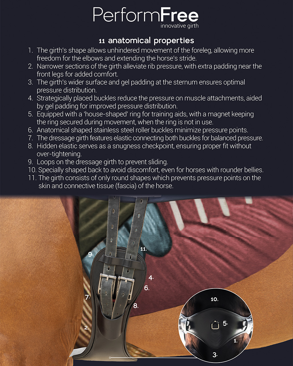 PresTEQ Girth PerformFree dressage - 3