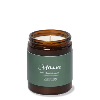 Torplyktan Northern Woods 4-pack doftljus