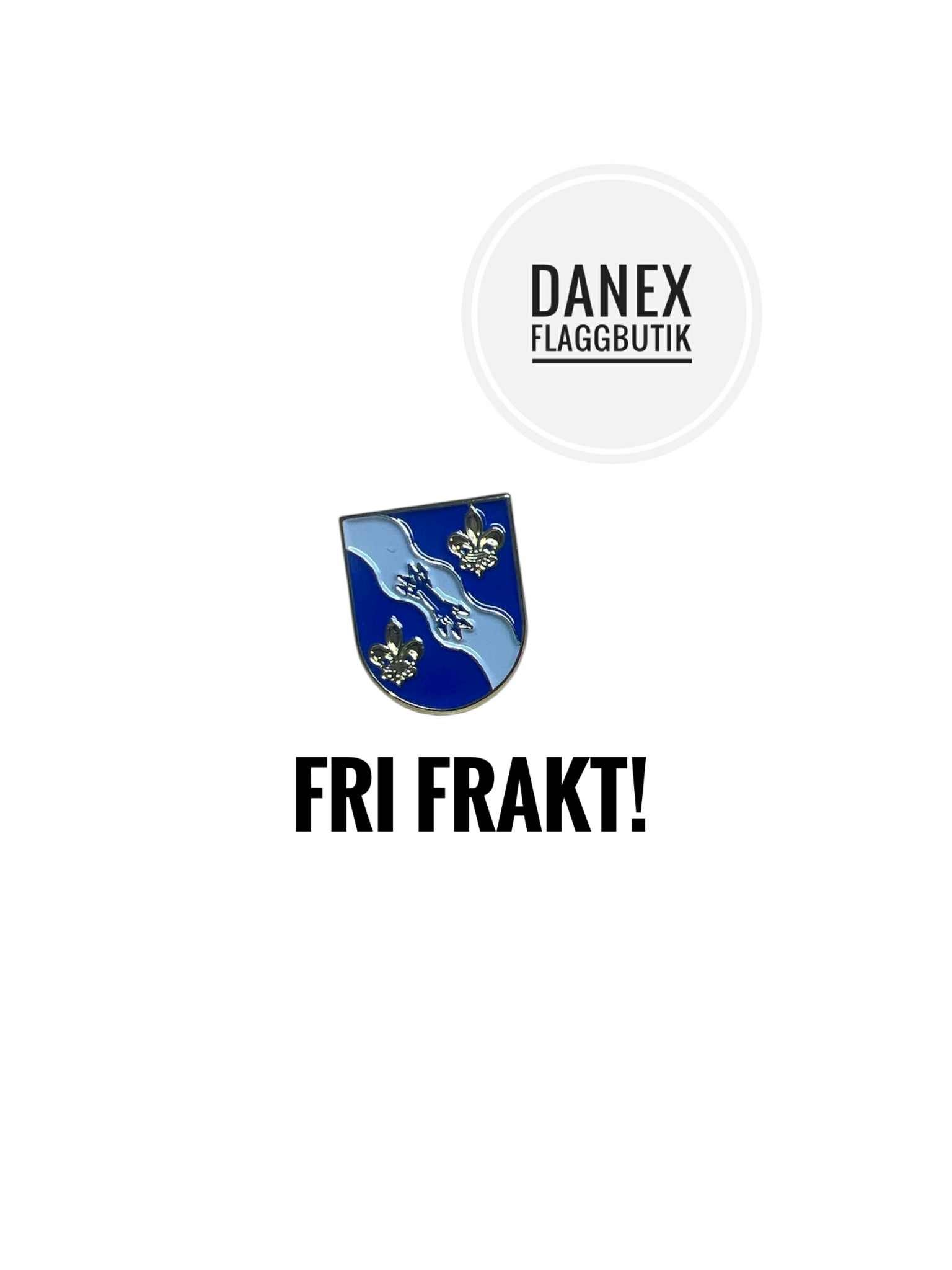 Ludvika pins - Dalarna 