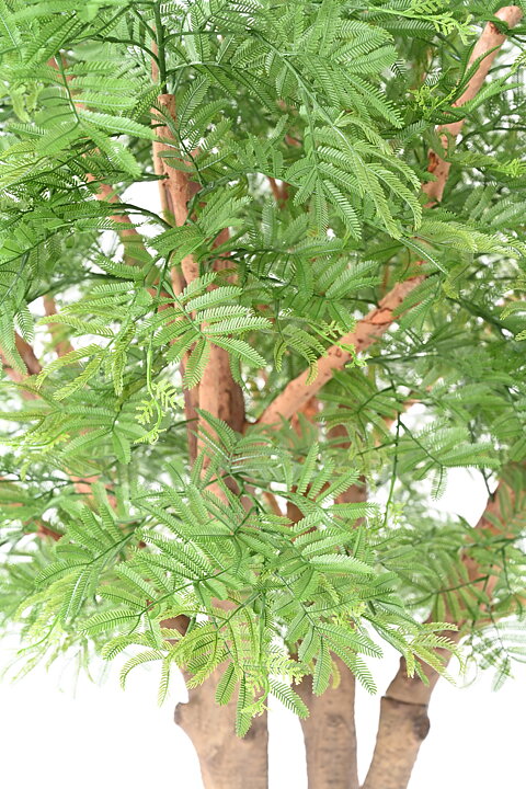 Tamarind con tronco artificial