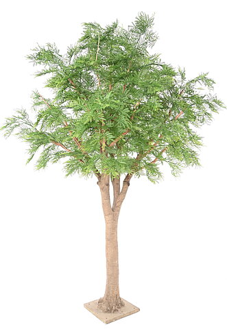 Tamarind con tronco artificial