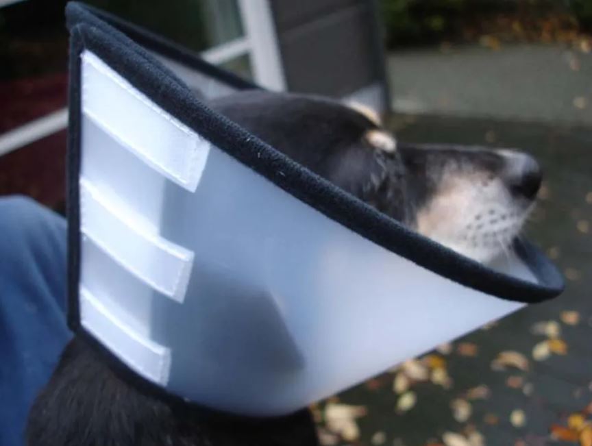 Flamingo Neck Collar with Plush Edge - Various Sizes - protective collar