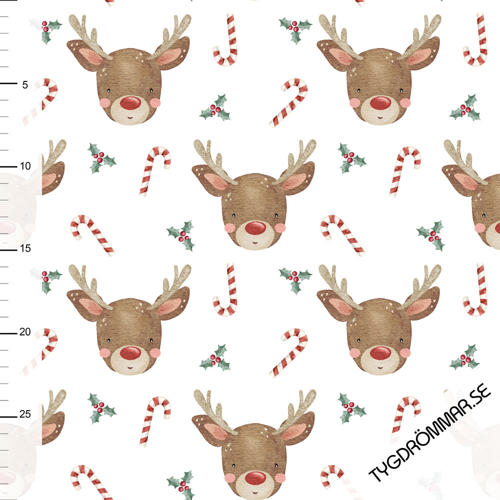 SWEET RUDOLF