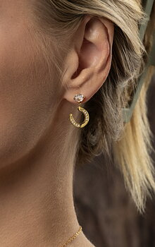 Horseshoe Earrings Gold
