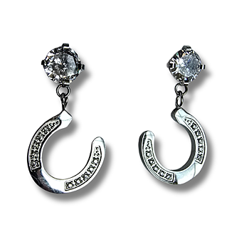 Horseshoe Earrings Silver