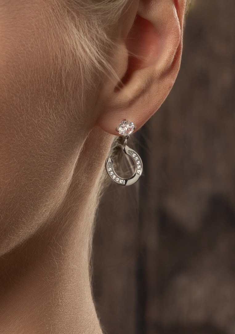 Horseshoe Earrings Silver - 3