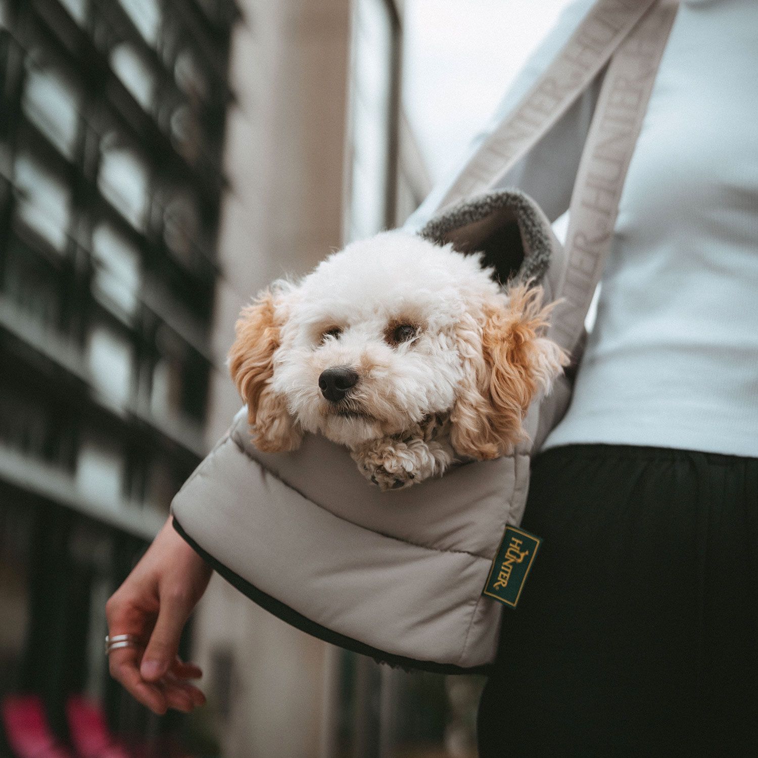 HUNTER 2-1 Carrying Bag Seoul incl. Blanket For Dog/Cat 45x22x24 cm - 4