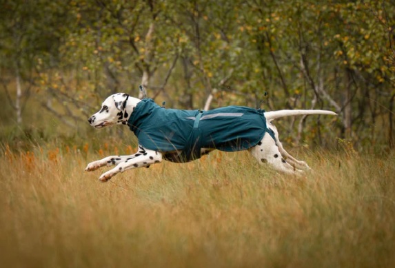 Non-stop Fjord Lined Raincoat dark teal - fodrat regntäcke - 2