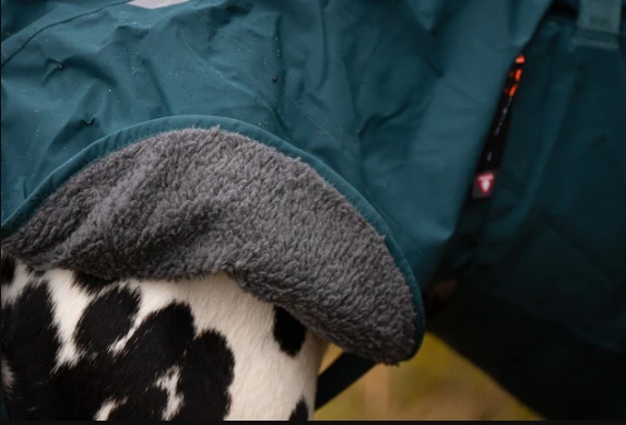 Non-stop Fjord Lined Raincoat dark teal - fodrat regntäcke - 3