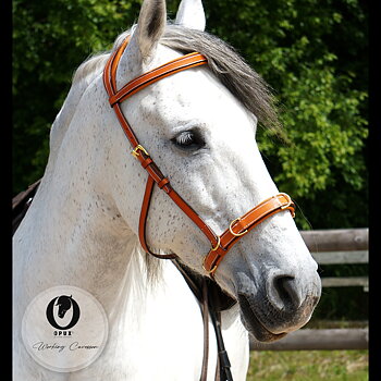 Working Cavesson Opux® (anatomisk kapson + sidepull) Natural Classic