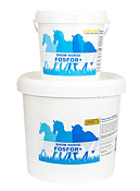 Show Horse Fosfor+