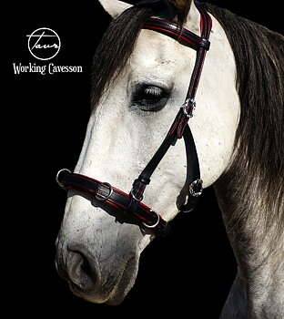 Working Cavesson Opux® (anatomisk kapson + sidepull) Black Cortezia