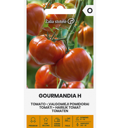 Gourmandia H