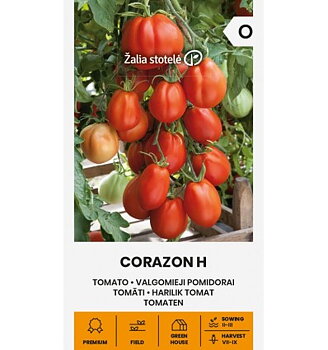 Corazon H