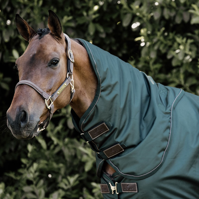 KENTUCKY  Neck all weather waterproof pro 150 gr Mörkgrön
