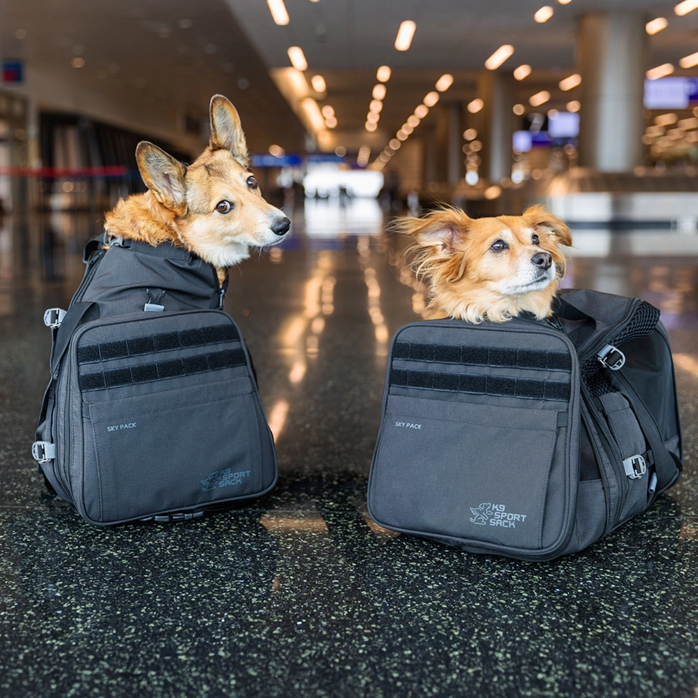 K9 Sport sack Skypack - cabin bag for dog <11 kg